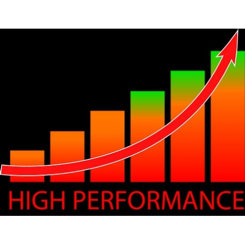 Paire de sandows Epsealon Maori