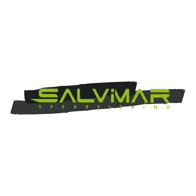 Kit pile salvimar pour ordinateur One et one plus Kit pile salvimar pour ordinateur One et one plus