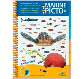 Pictolife Océan Indien et Mer Rouge