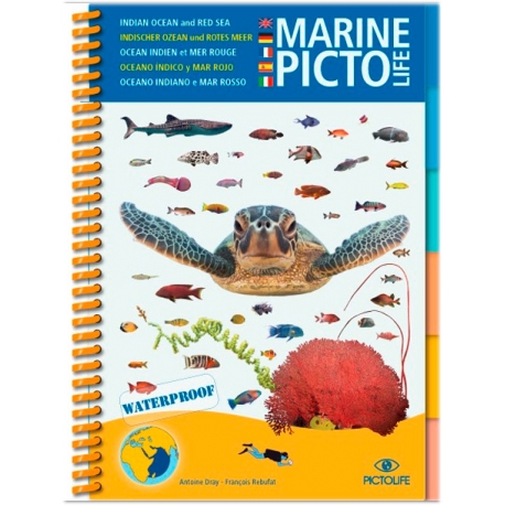 Pictolife Océan Indien et Mer Rouge