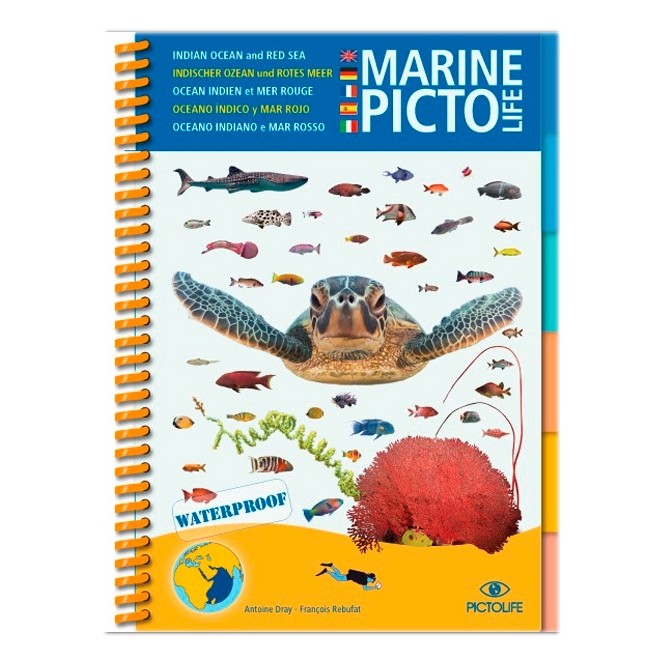 Pictolife Océan Indien et Mer Rouge Pictolife Océan Indien et Mer Rouge