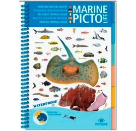 Pictolife Pacifique Tropical Ouest