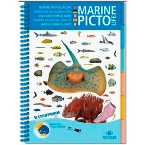 Pictolife Pacifique Tropical Ouest