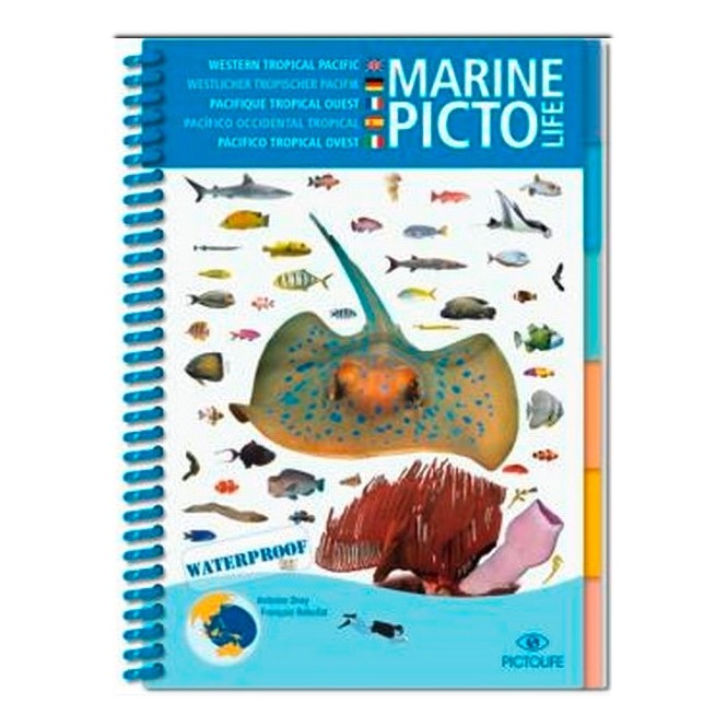 Pictolife Pacifique Tropical Ouest