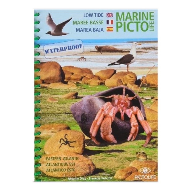Pictolife Marée Basse, Atlantique Est Pictolife Marée Basse, Atlantique Est