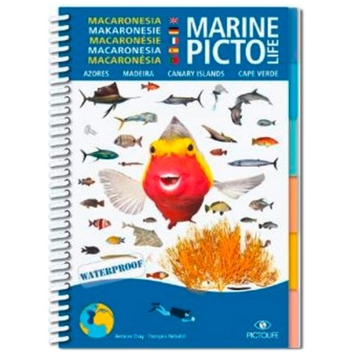 Pictolife Macaronésie