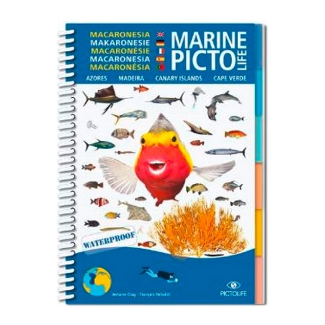 Pictolife Macaronésie Pictolife Macaronésie