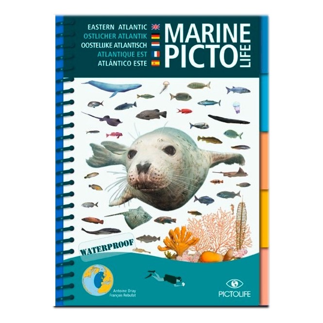 Pictolife Atlantique Est Pictolife Atlantique Est