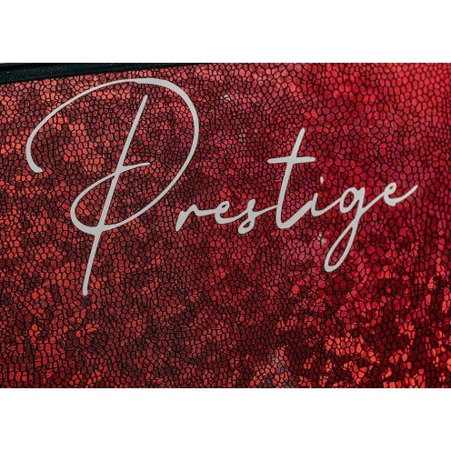 Palmes carbone Go N Sea Prestige Rouge
