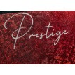 Palmes carbone Go N Sea Prestige Rouge