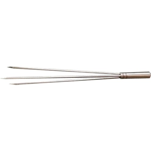 3 pointes pour Pole Spear Denty spearfishing