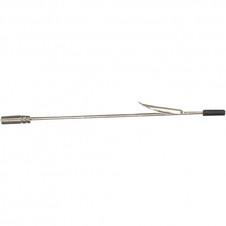 Mono pointe pour Pole Spear Denty spearfishing