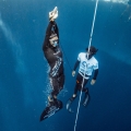 Longe de compétition Octopus Freediving 100 cm