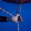 Pulling System Classic Octopus Freediving