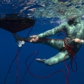 Pulling System XL Octopus Freediving