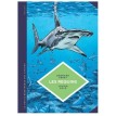 Les Requins – La Petite Bédéthèque des Savoirs