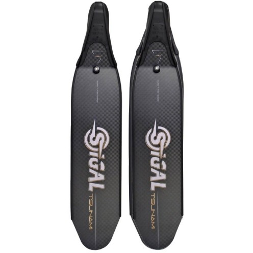 Palmes Carbone Sigalsub Tsunami