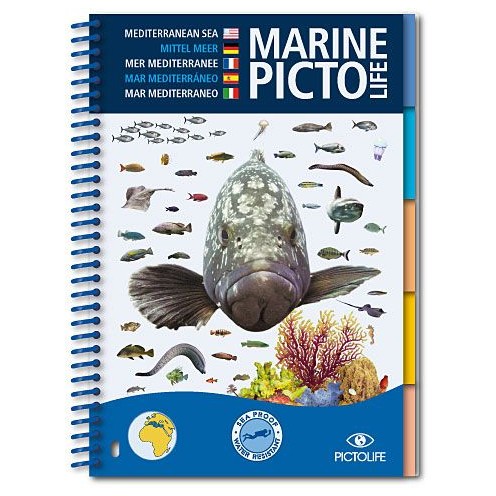 Pictolife méditerrannée