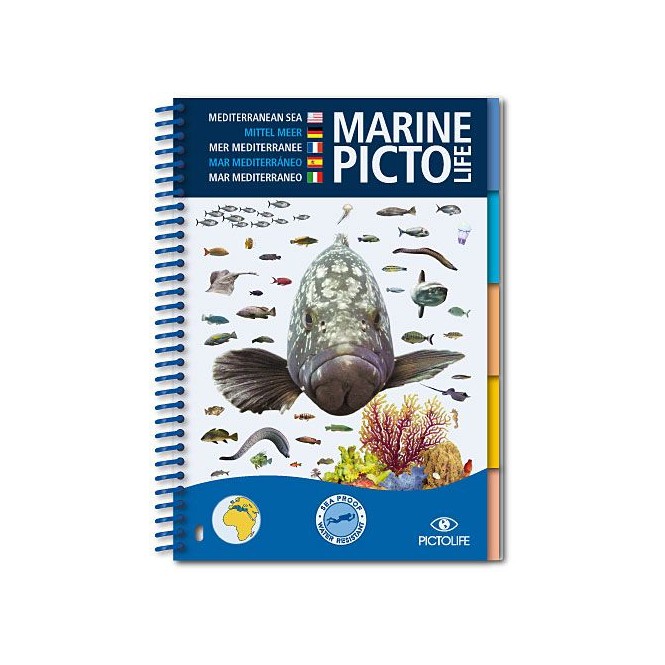 Pictolife méditerrannée Pictolife méditerrannée