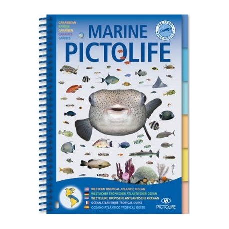 Livre Pictolife Atlantique Tropical Caraïbes