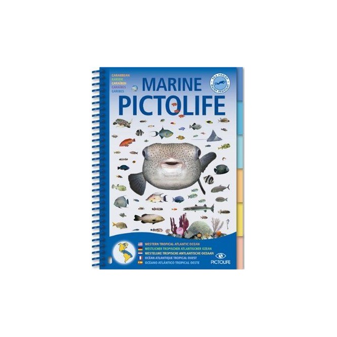 Livre Pictolife Atlantique Tropical Caraïbes Livre Pictolife Atlantique Tropical Caraïbes