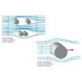 Arbalète Imersion Triaxx