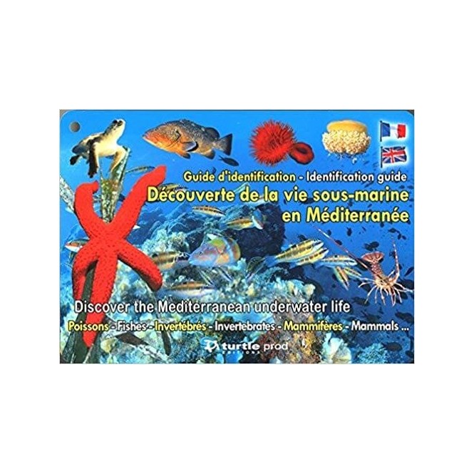 Plaquette immergeables identification des espèces sous-marines de la méditerranée