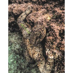 Combinaison Salvimar Krypsis 3.5mm