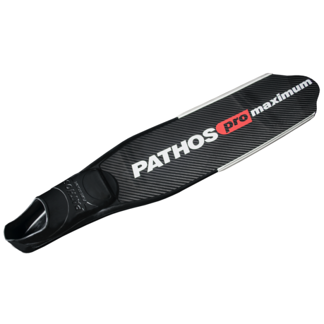Palmes carbone Pathos Pro Maximum Palmes carbone Pathos Pro Maximum