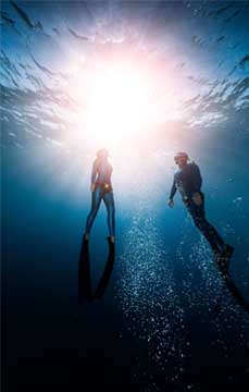Bien choisir son masque de plongée sous-marine