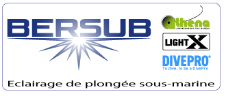 BERSUB