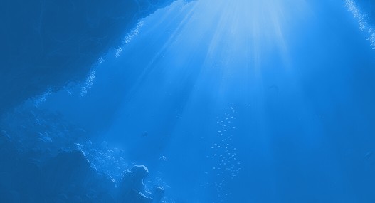 Avis (1054 x 570)