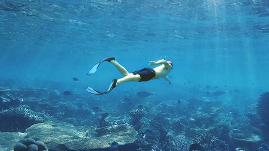 Quels équipements de snorkeling choisir ?